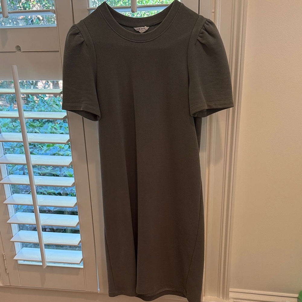Elegant Olive Green women’s Dress